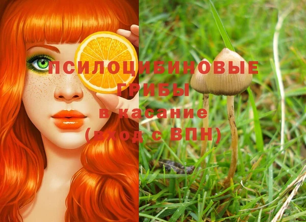 крисы Алексин