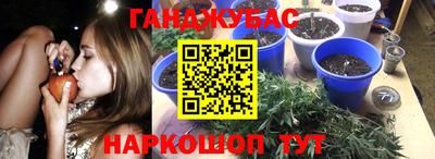 СК Ярославль