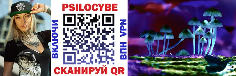 Галлюциногенные грибы MAGIC MUSHROOMS как найти Звенигород